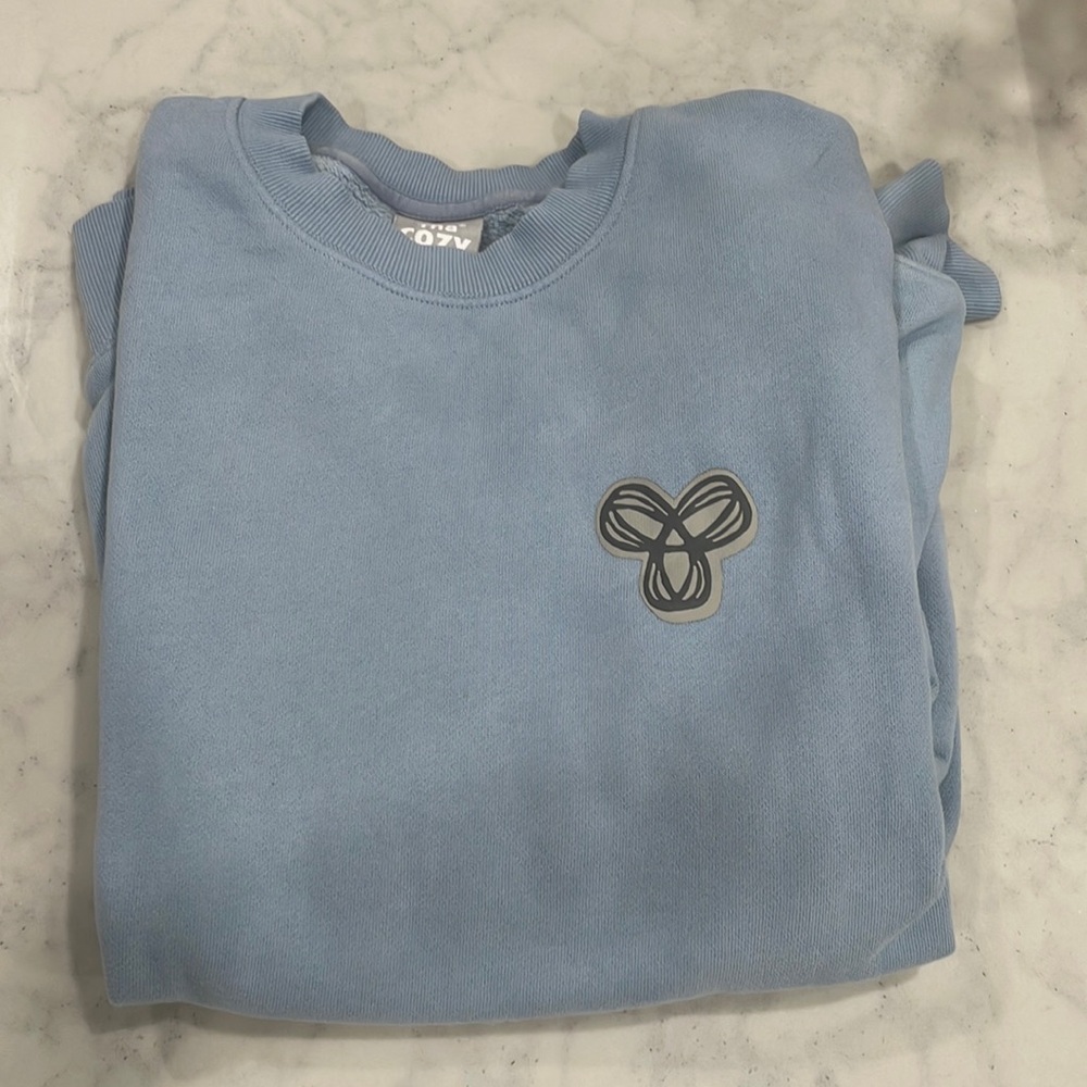Aritzia sweatshirt